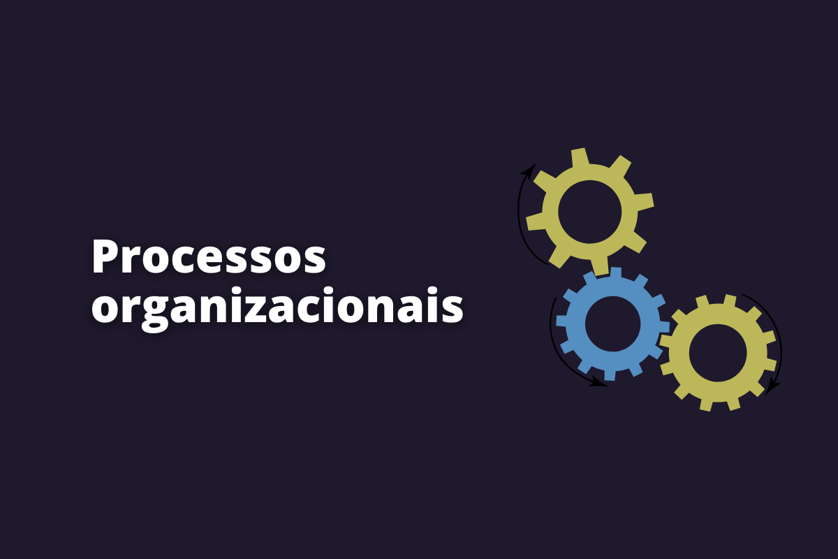 Processos organizacionais