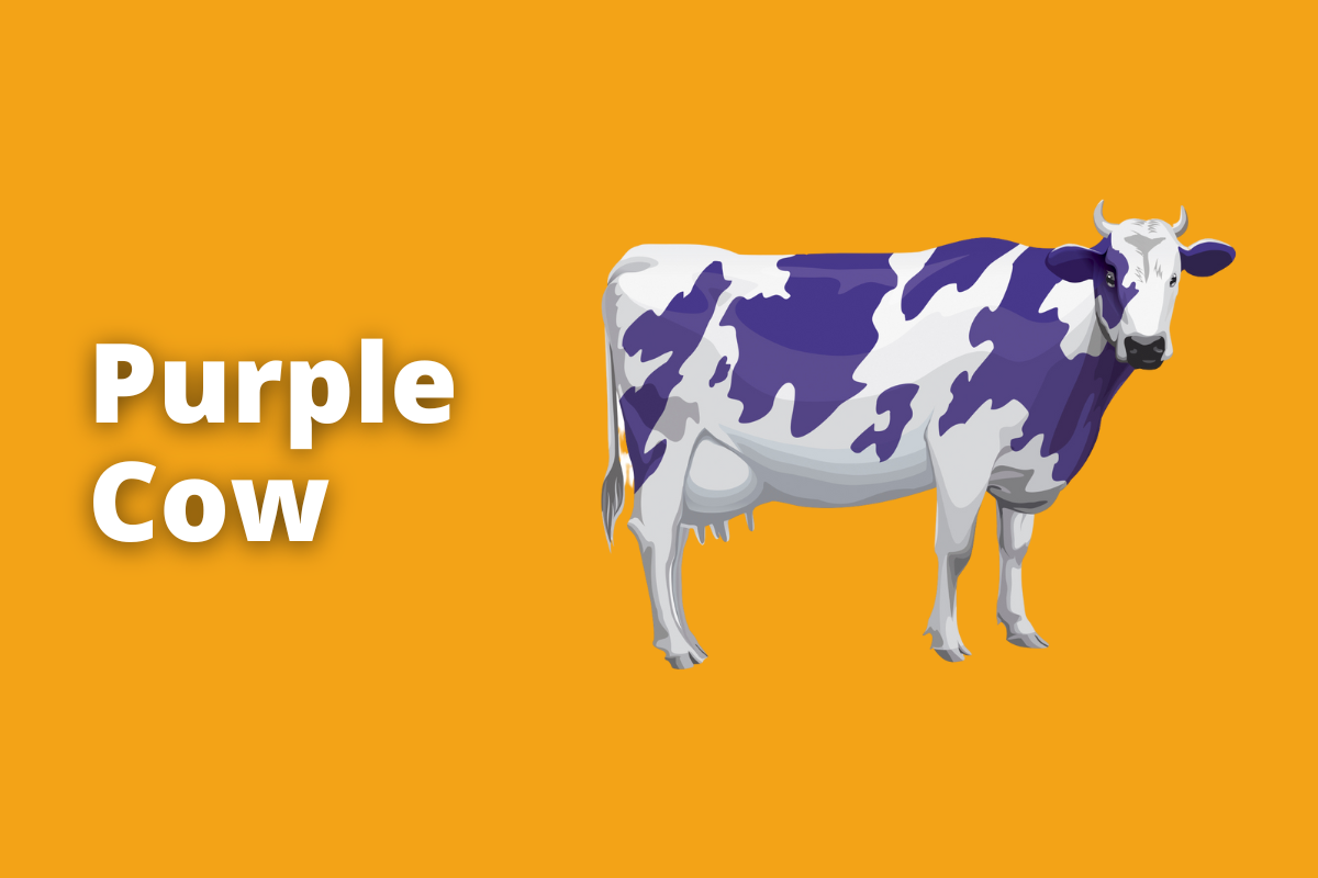 Montagem com fundo laranja e frase Purple Cow em branco com símbolo web à direita que representa o tema com vaca raça holandesa